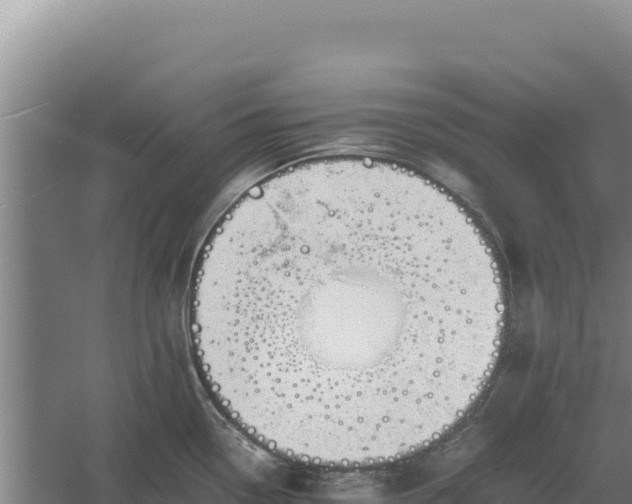 X0000060571338200511101619