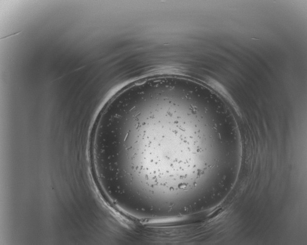 X0000060571339200511101619