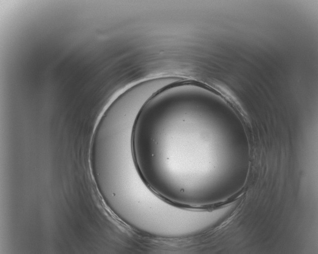 X0000060571340200511101620