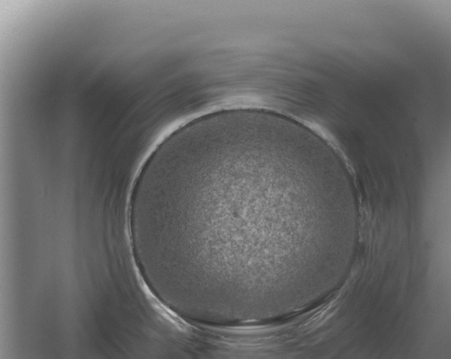 X0000060571342200511101620