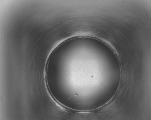 X0000060571343200511101620