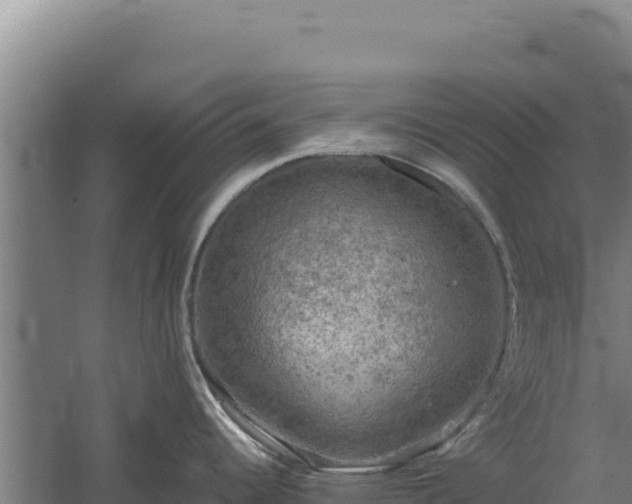 X0000060571344200511101620