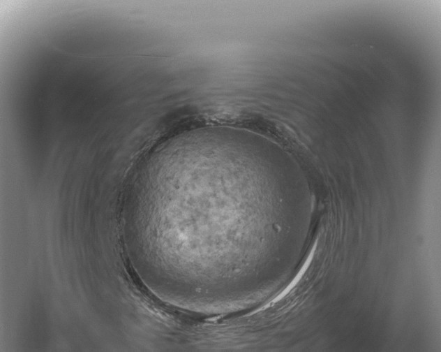 X0000060571345200511101619