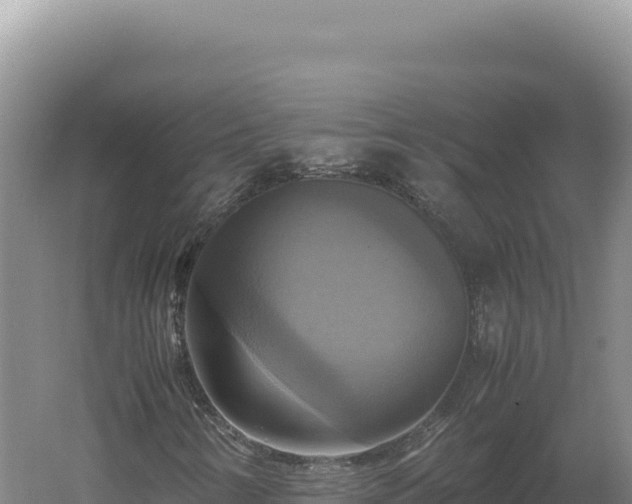 X0000060571346200511101619