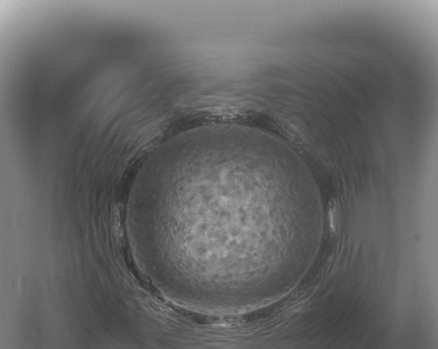 X0000060571347200511101619