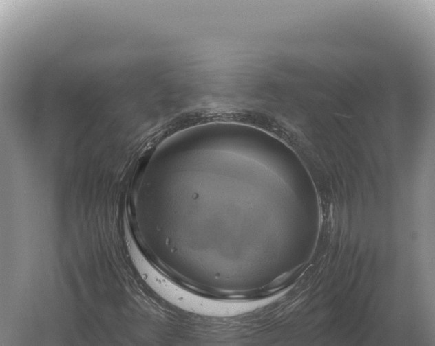 X0000060571348200511101619