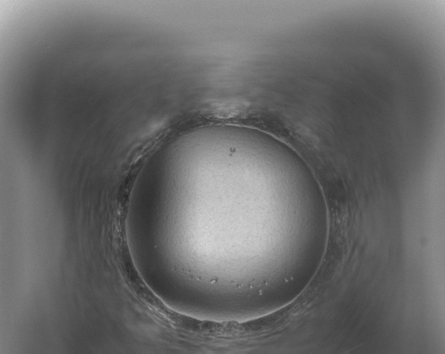 X0000060571349200511101619