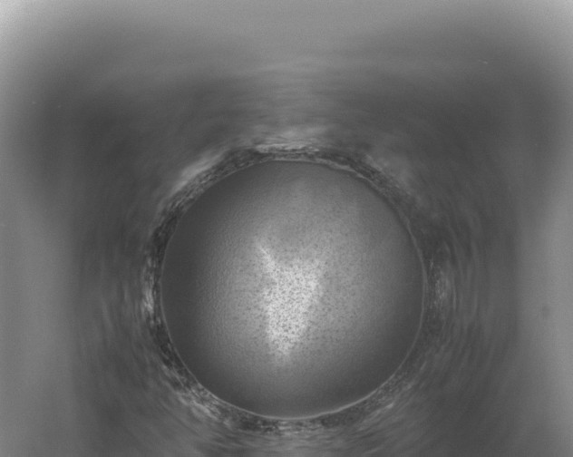 X0000060571350200511101619