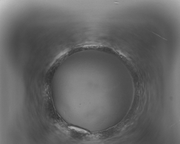 X0000060571351200511101619