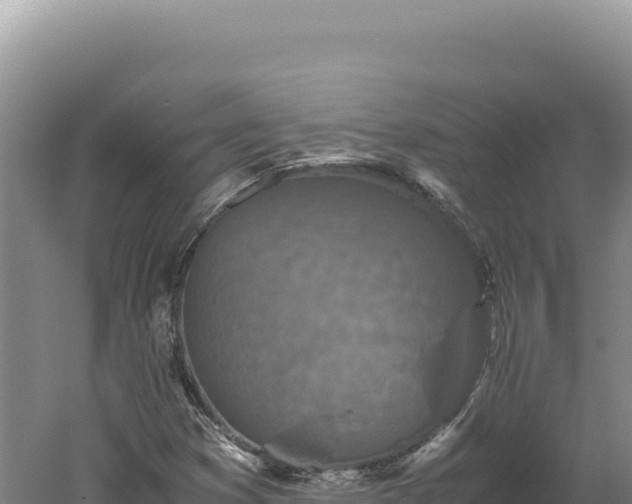 X0000060571353200511101619