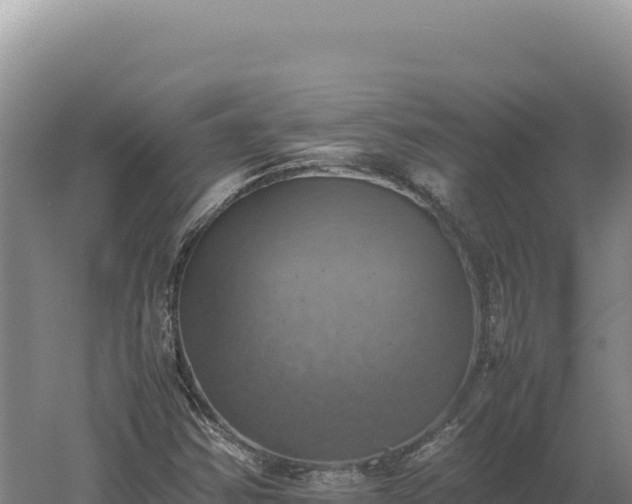 X0000060571354200511101619