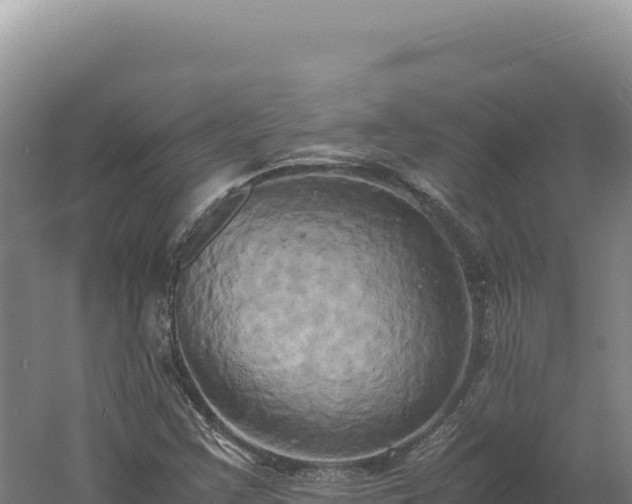 X0000060571355200511101619