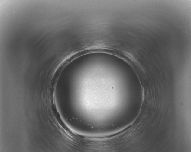 X0000060571356200511101619