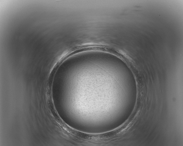 X0000060571357200511101619