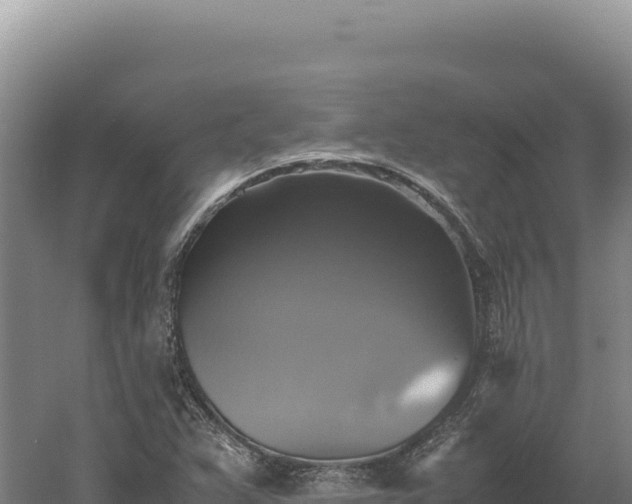 X0000060571359200511101619