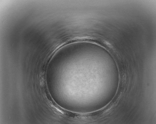 X0000060571361200511101618