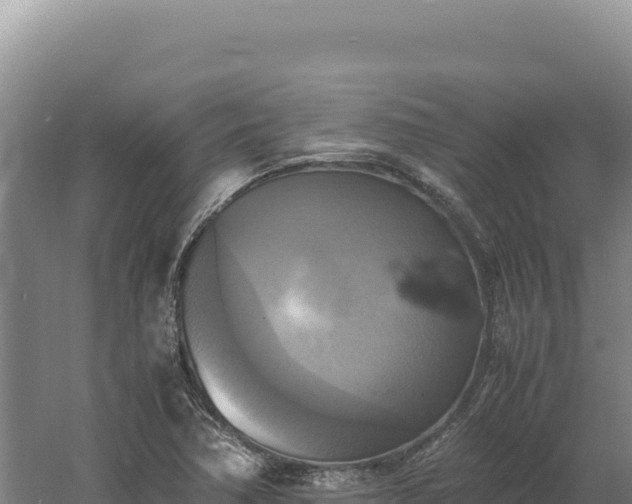 X0000060571362200511101618