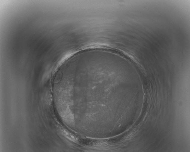 X0000060571363200511101618