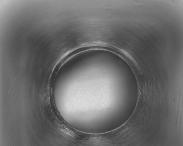 X0000060571364200511101618