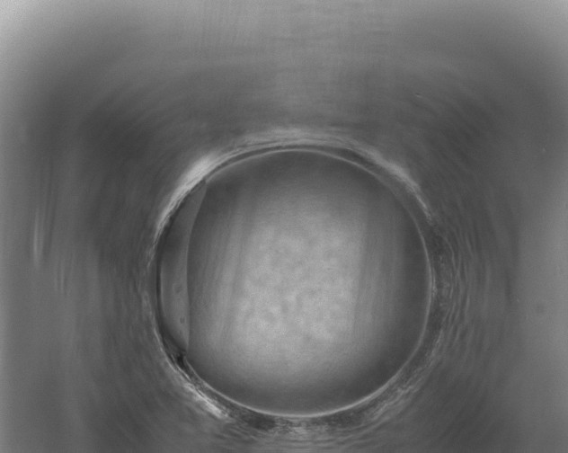 X0000060571365200511101618