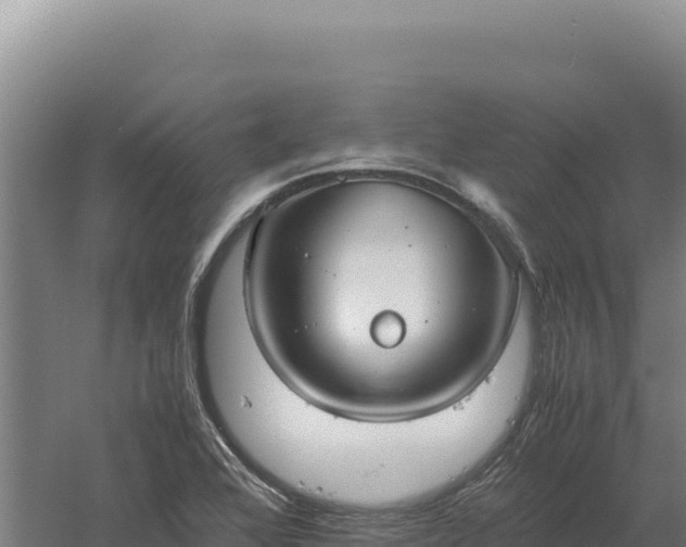 X0000060571368200511101618