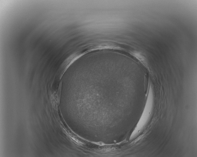 X0000060571369200511101618