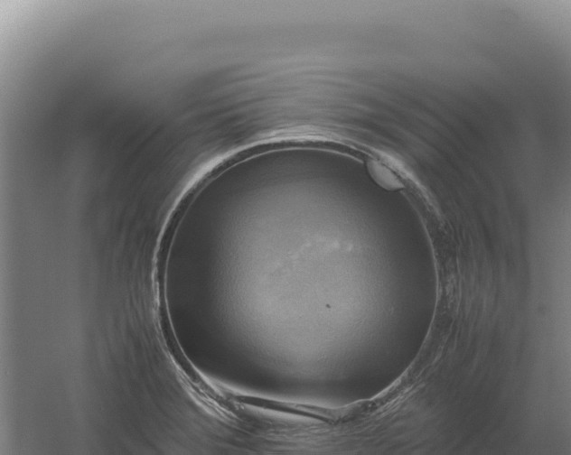 X0000060571372200511101618