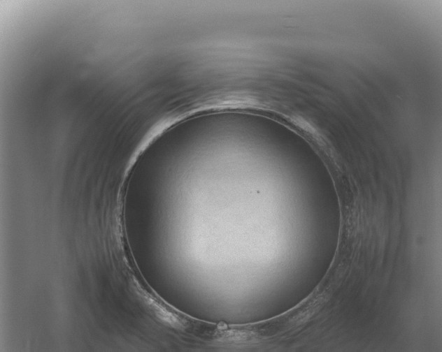 X0000060571374200511101618