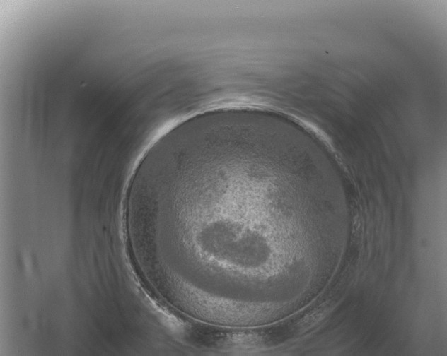 X0000060571375200511101618