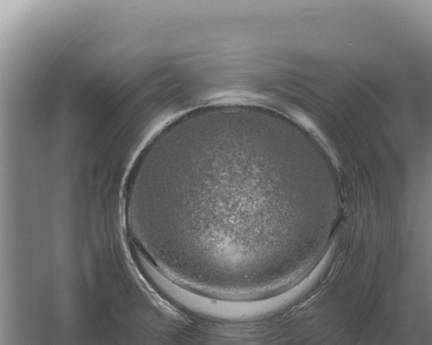 X0000060571376200511101618