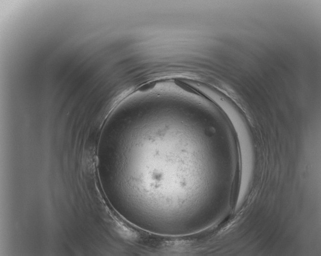 X0000060571377200511101618