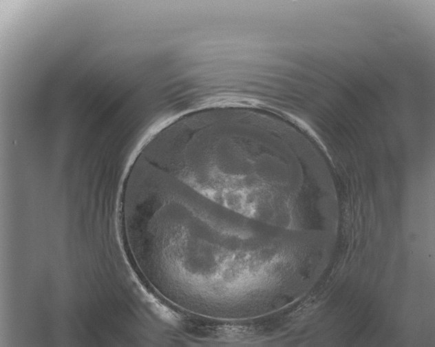 X0000060571379200511101618