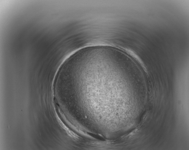 X0000060571380200511101618