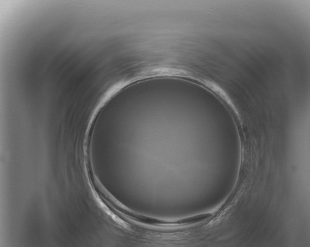 X0000060571381200511101618