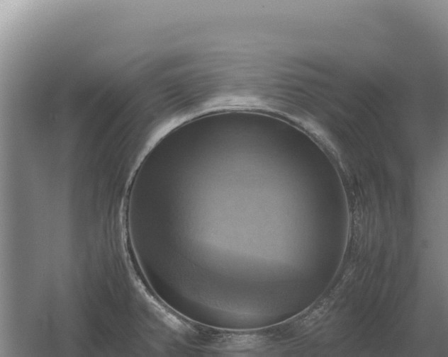 X0000060571382200511101618