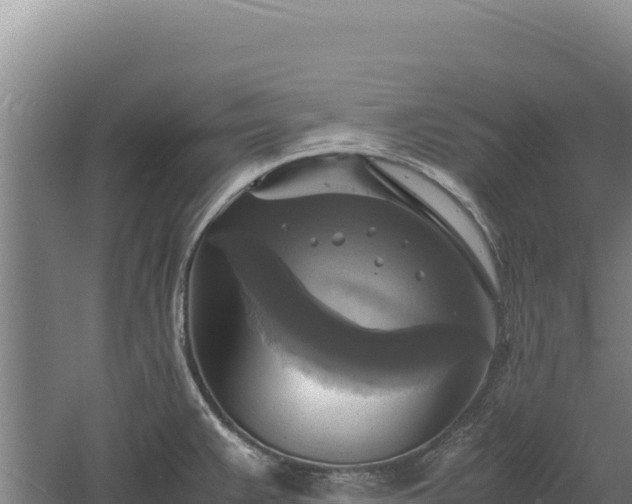 X0000060571383200511101618