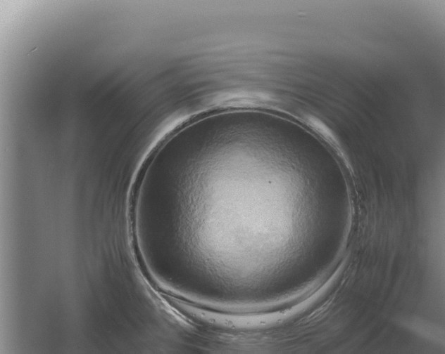 X0000060571384200511101618