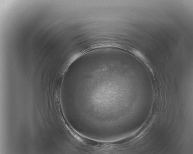 X0000060571385200511101618