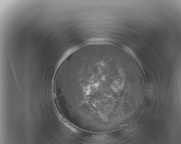 X0000060571386200511101618