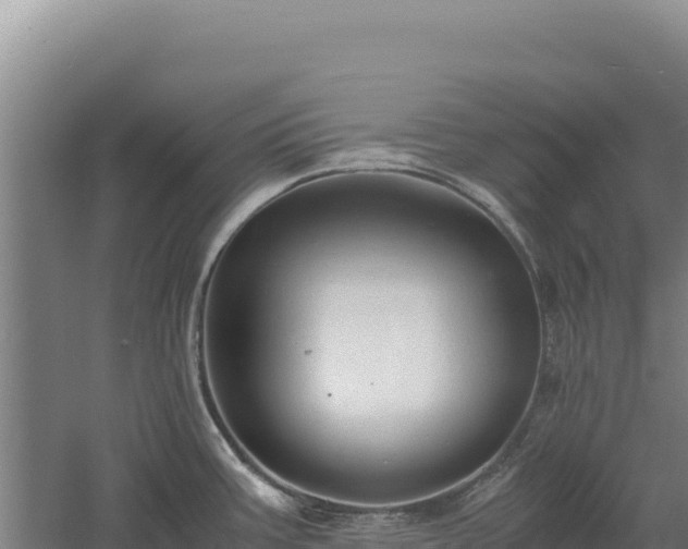 X0000060571387200511101618