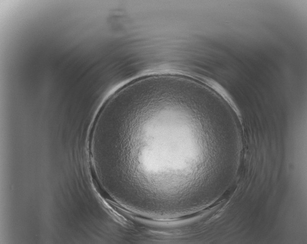 X0000060571388200511101618