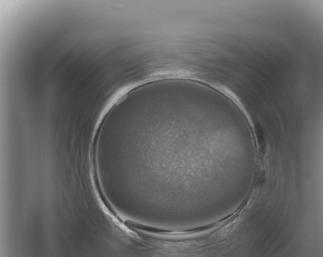 X0000060571389200511101618