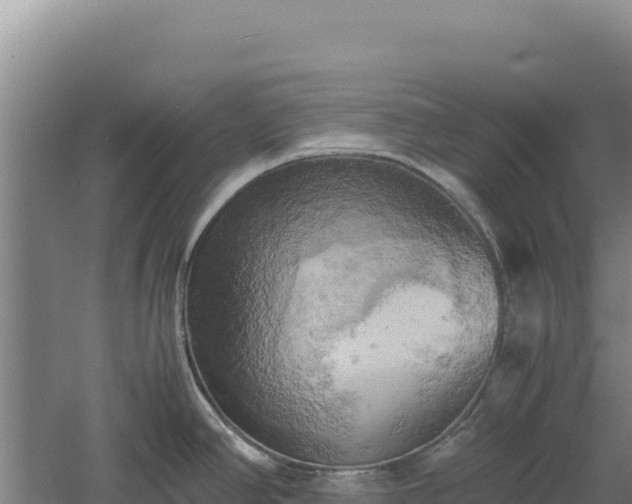 X0000060571390200511101618