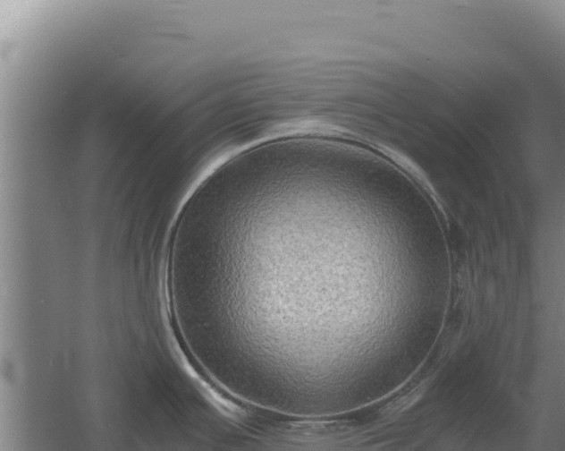 X0000060571391200511101618