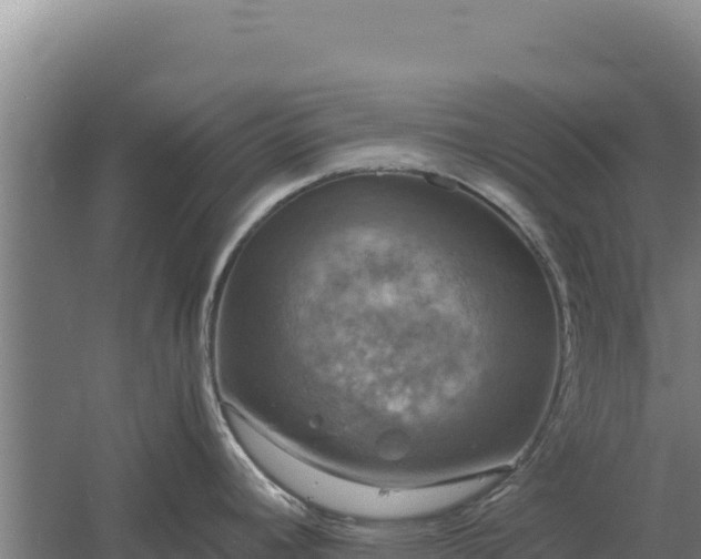 X0000060571392200511101618