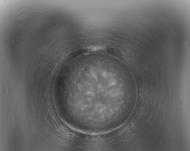 X0000060571393200511101617