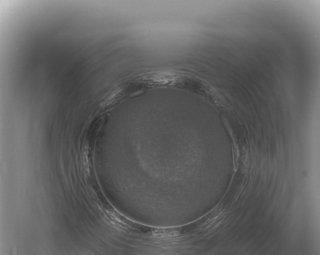 X0000060571394200511101617