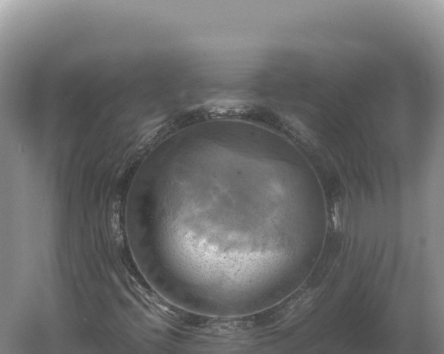 X0000060571396200511101617