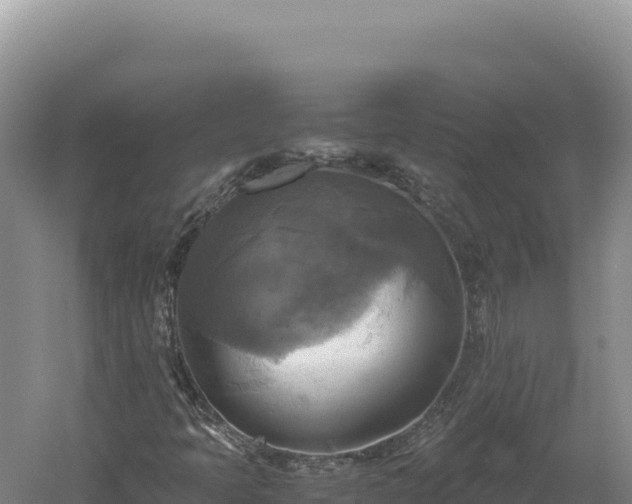 X0000060571397200511101617