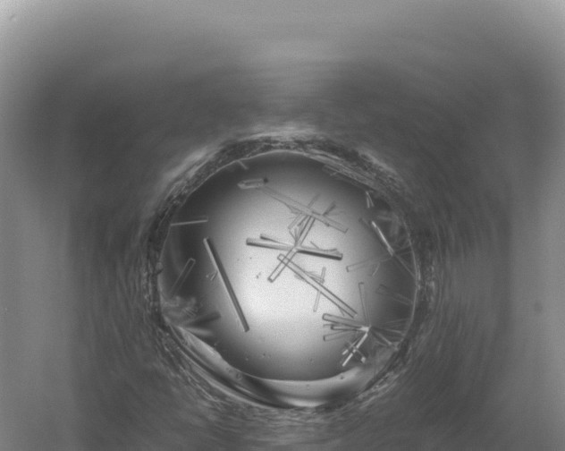 X0000060571398200511101617